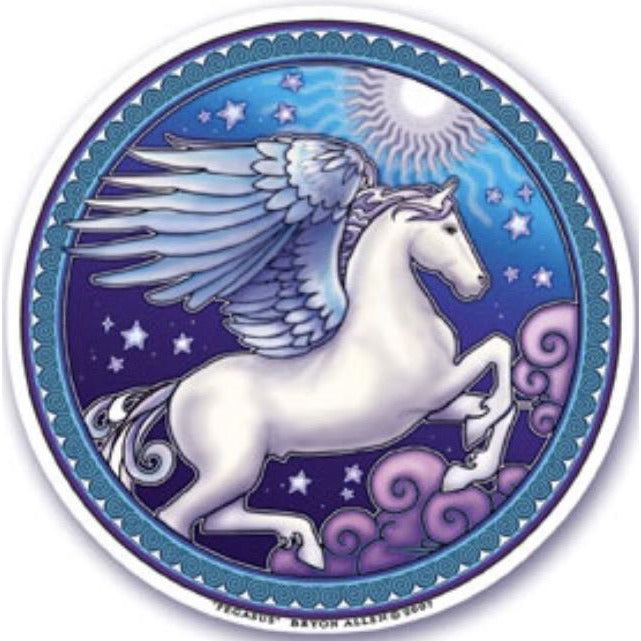 Pegasus , window stickers S-45 - OCTOPUS Bohemian Shop 